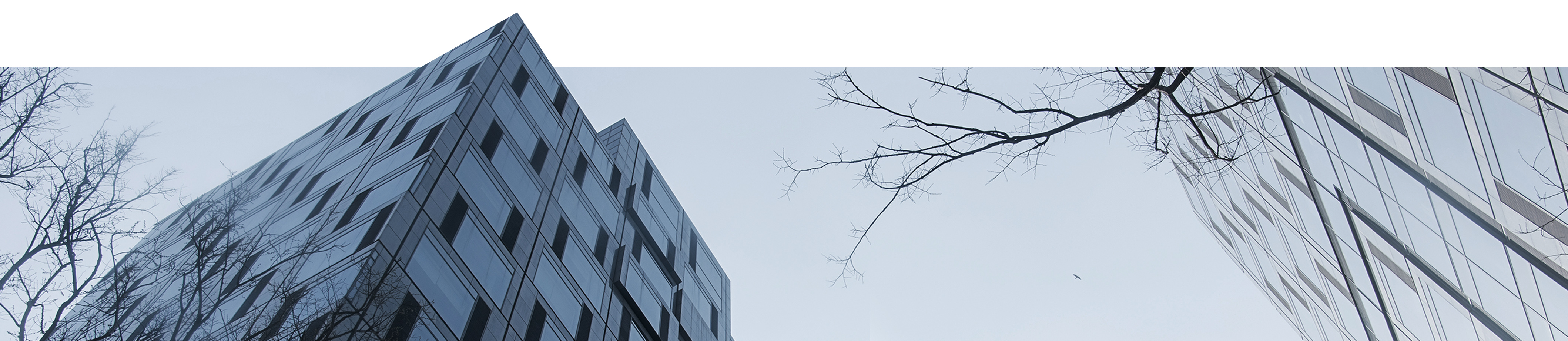 ����ͬ�˹���