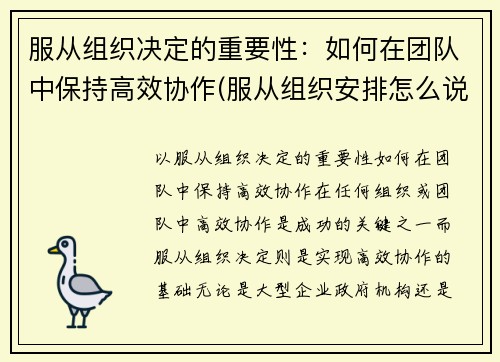 服从组织决定的重要性：如何在团队中保持高效协作(服从组织安排怎么说)